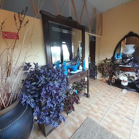 Hotel Gite Cantinho Davo Campea 外观 照片